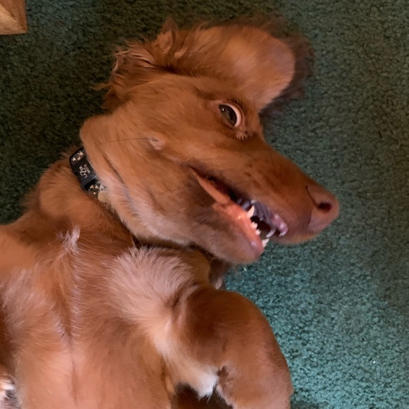 Meet your Posher, Melissa - Picture 6 of 12